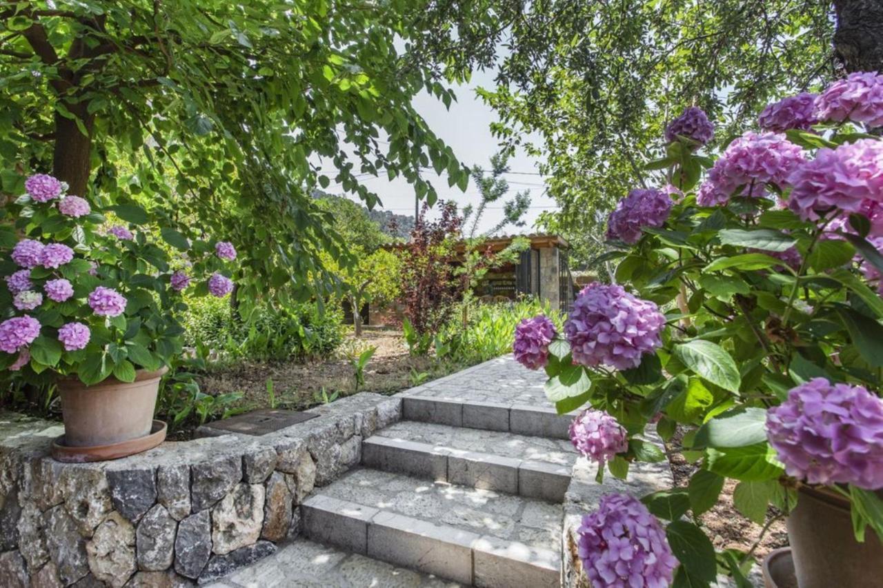 Villa Sa Vinya De Son Bou
